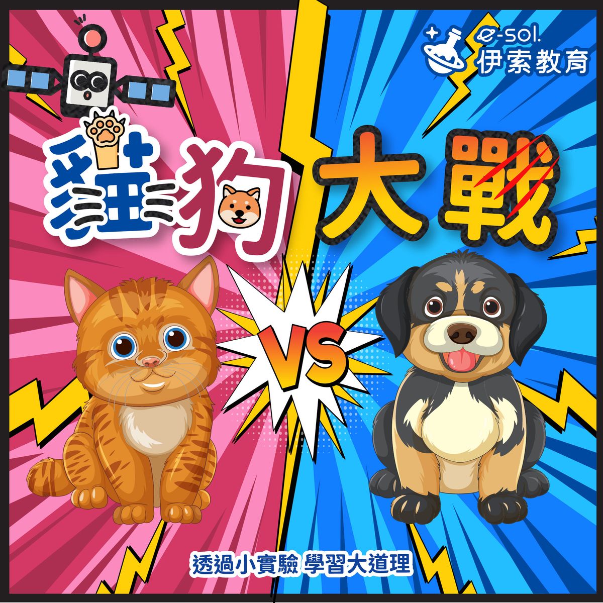 【 貓跟狗在一起,會每天上演貓狗大戰?🐱🐶】