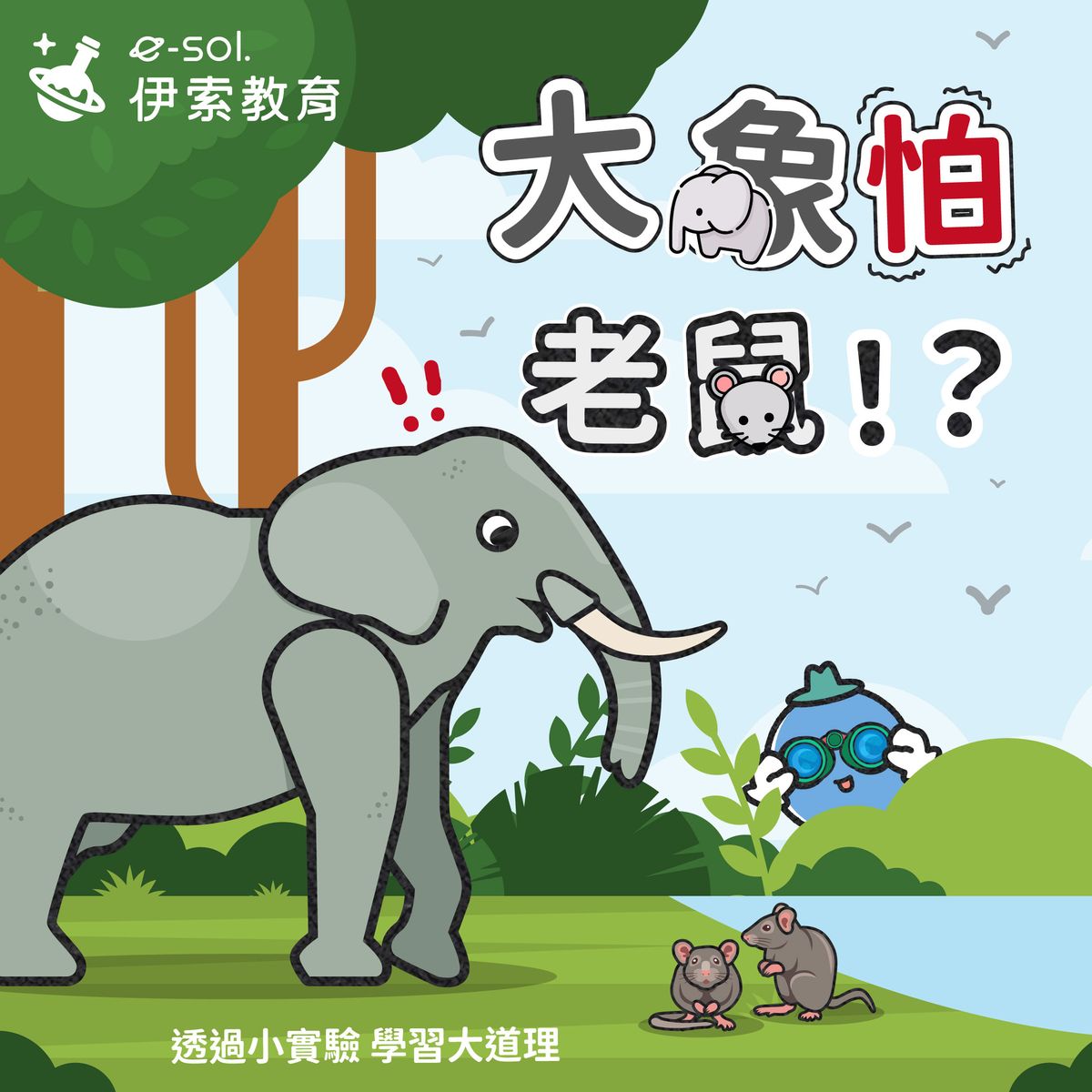 【🐘大象真的怕老鼠嗎?🐭】