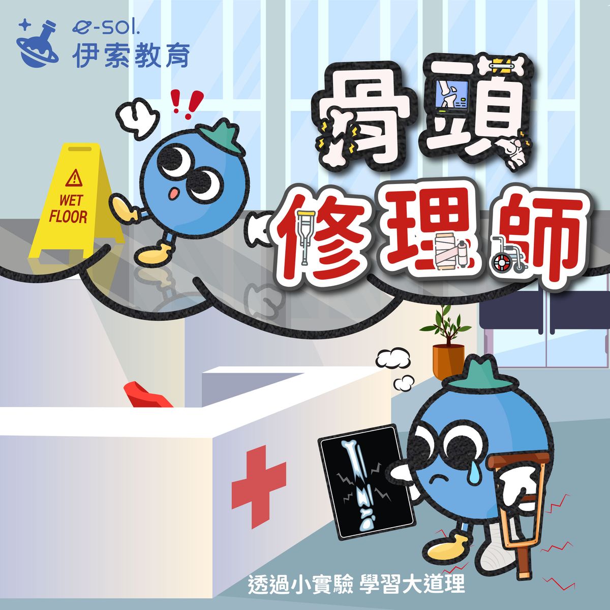 【🔧身體裡的超級修理師🦴】