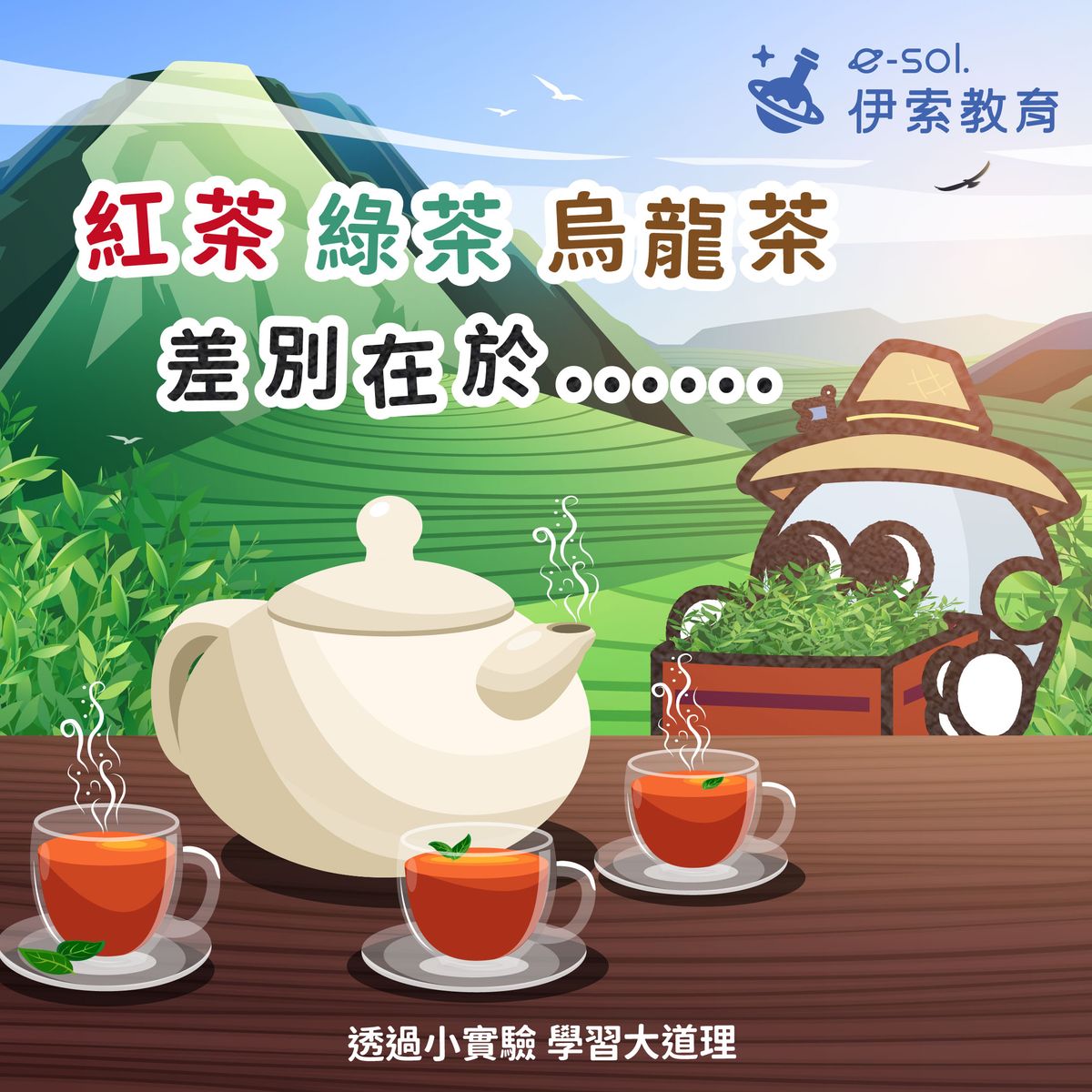 【 🍵綠茶、紅茶、烏龍茶，都是不同的葉子嗎？🌱】
