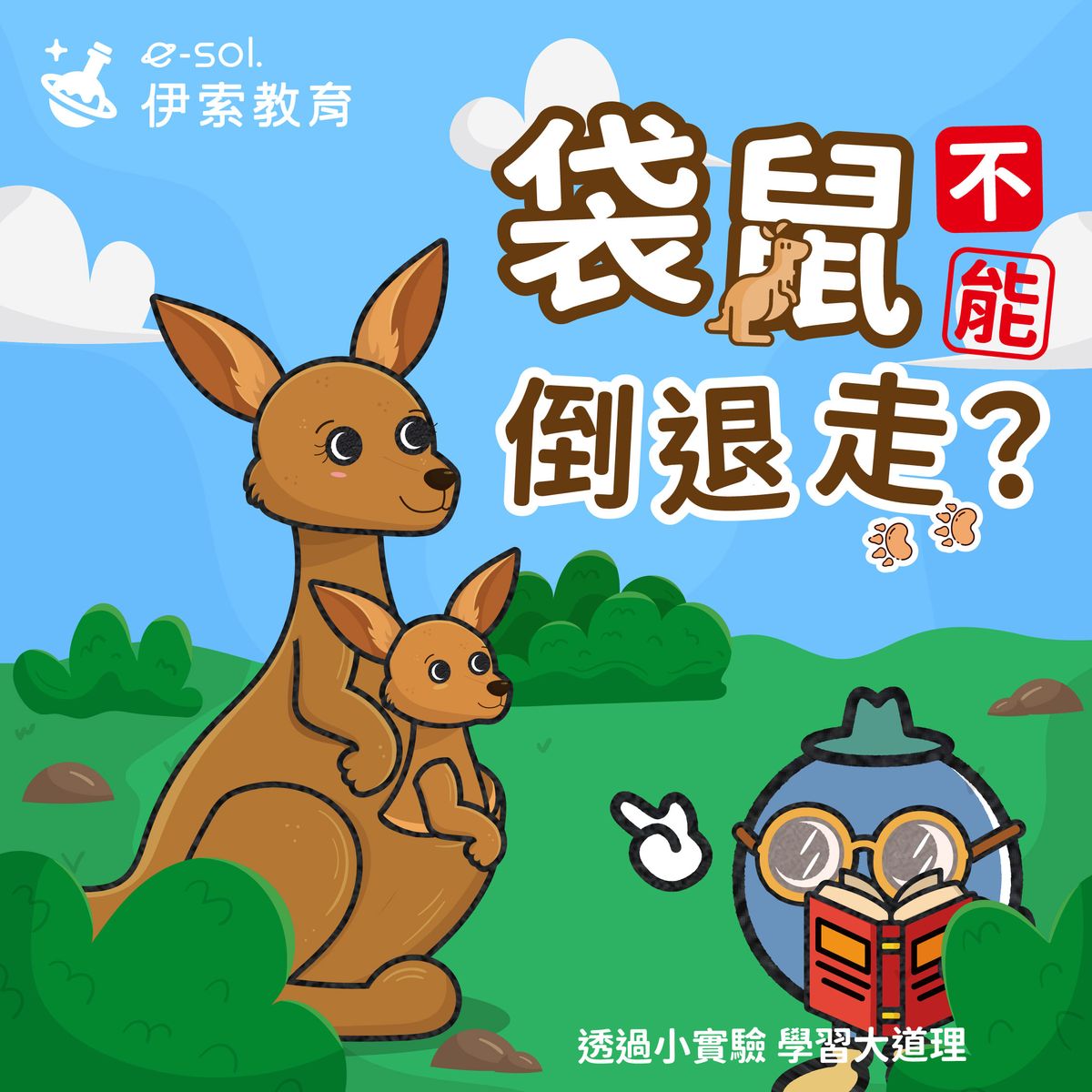 【🦘袋鼠為什麼不能倒退走?】