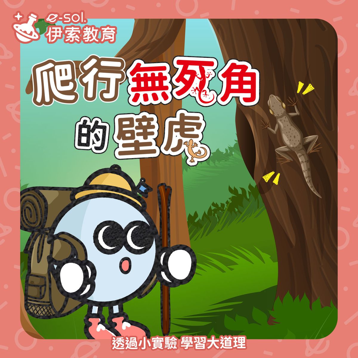 【🦎壁虎為什麼不會掉下來?】