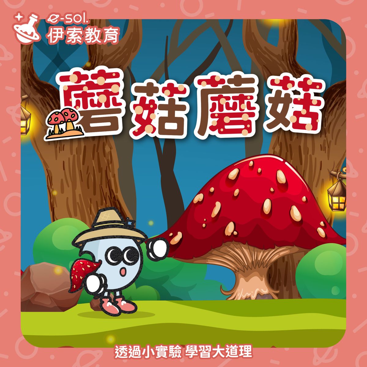 【 🍄蘑菇不是植物!牠是……】