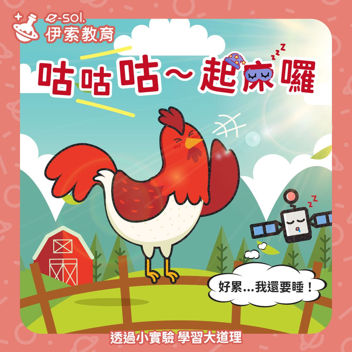 【🐔 公雞為什麼會打鳴?】