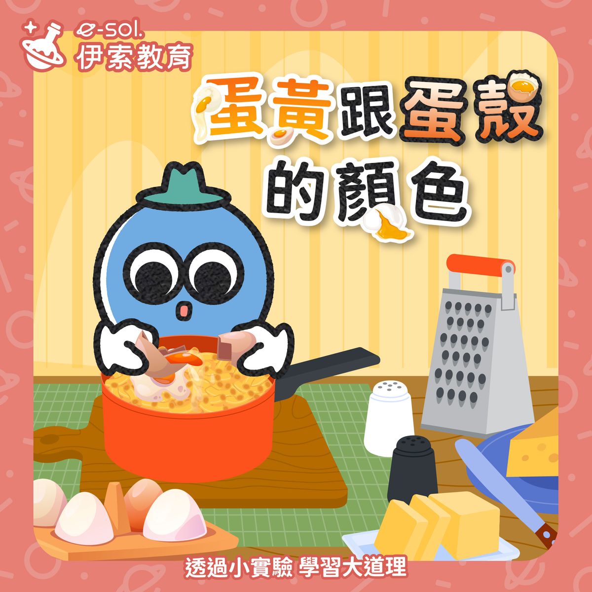 【🥚 蛋黃跟蛋殼為什麼有不同顏色?】