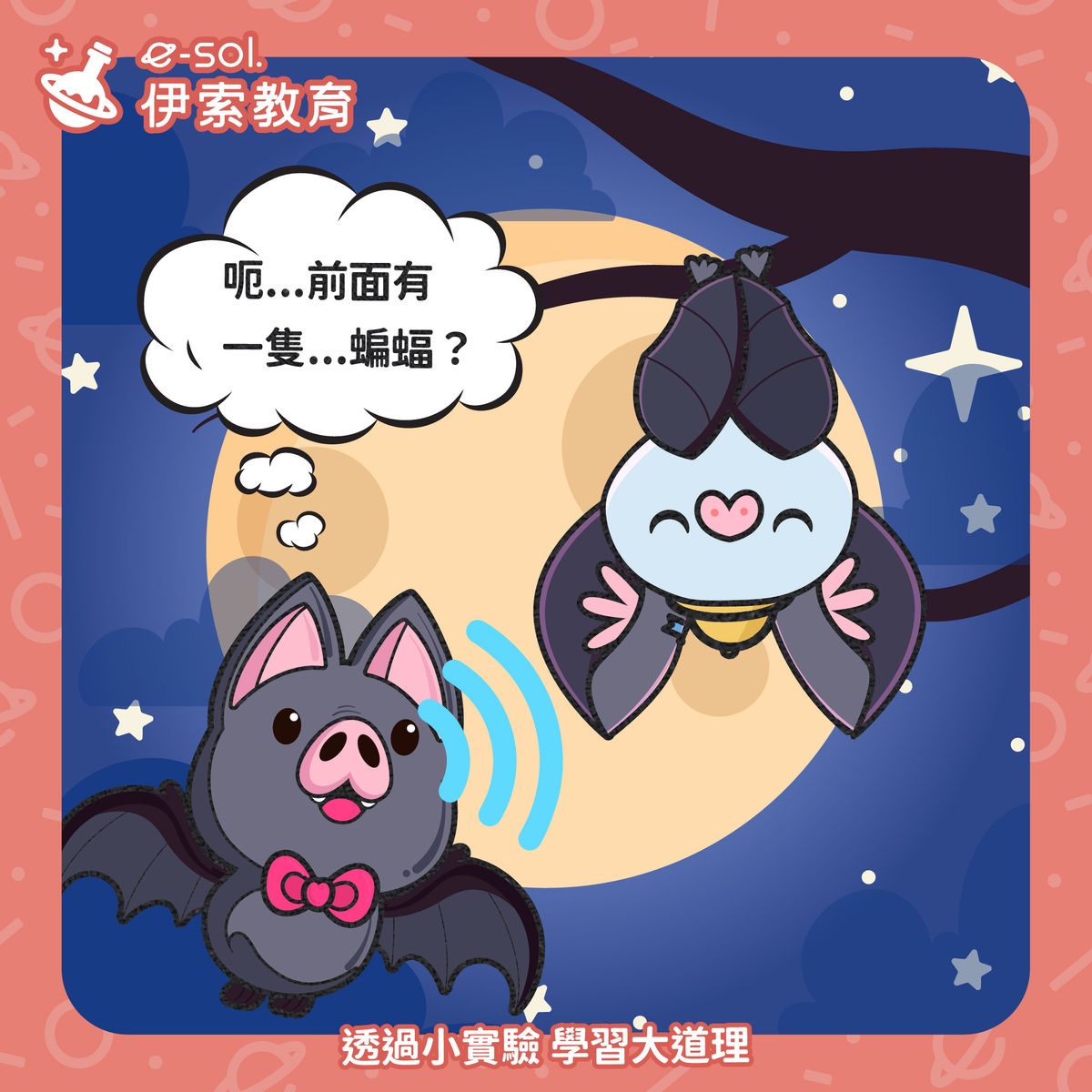 【🦇蝙蝠是用耳朵「看路」?這叫做回聲定位!👂】
