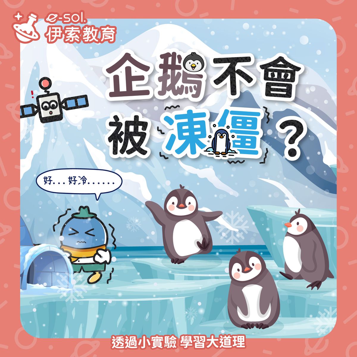 【🐧企鵝不會被凍僵？ ❄️ 】