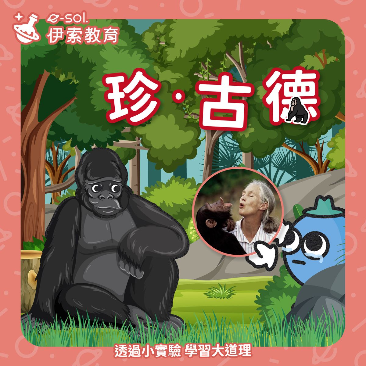 【黑猩猩的好朋友——珍·古德】