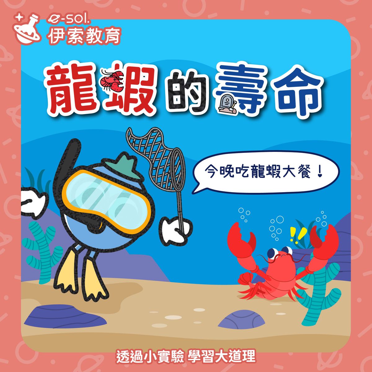 【🦞 海裡的活神仙！龍蝦的壽命竟然這麼長】