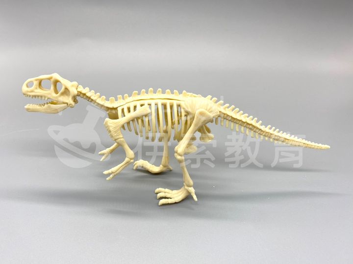 投影片5