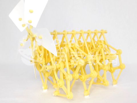 圖片二：正面圖 (25)