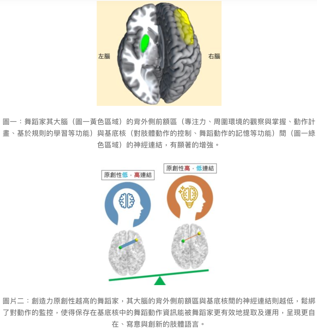 舞蹈訓練影響大腦神經連結的研究