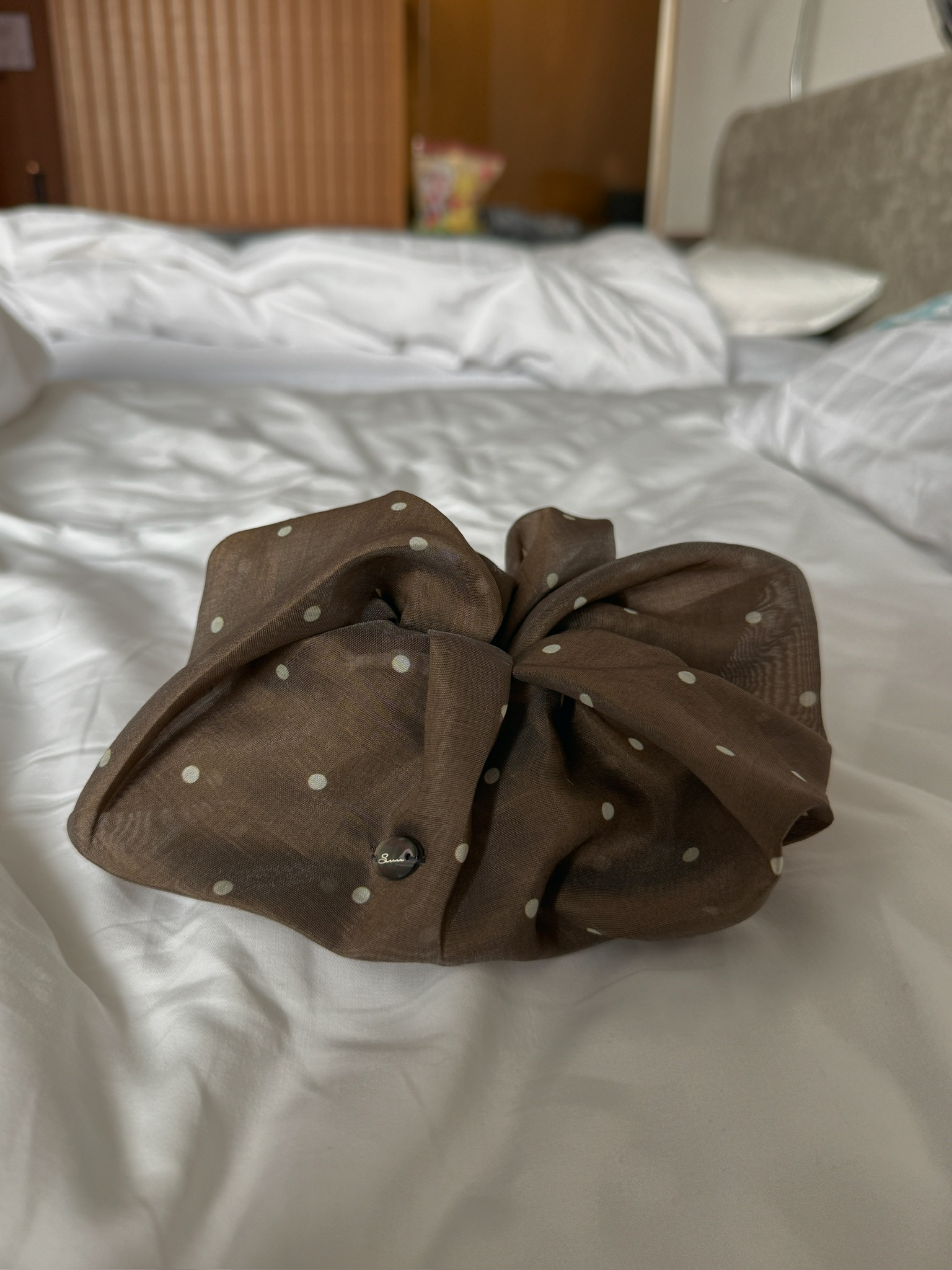 E6E99614-24DF-4E0B-B823-AF37C1CACE46_1_102_a