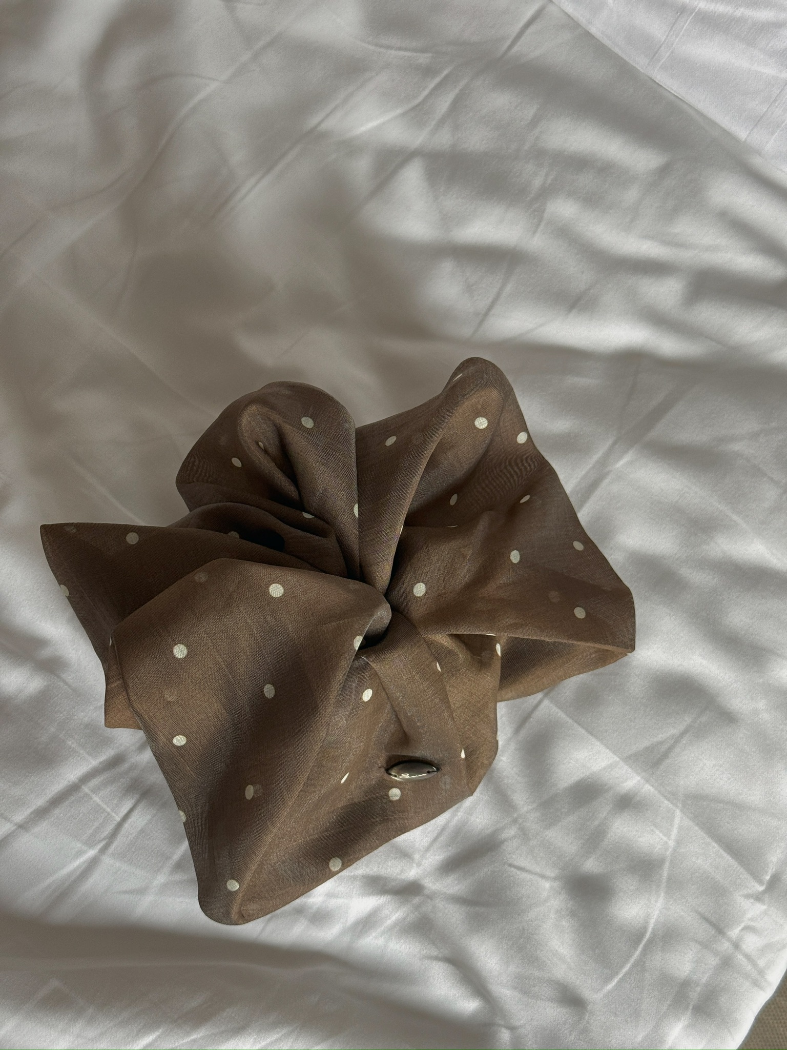 D5BAA014-5B2F-49EF-828A-A95C88B771E3_1_102_a