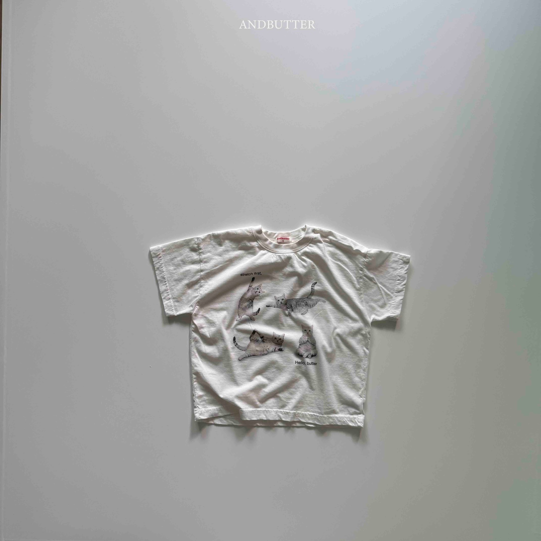 4671CAD9-D2A6-4ECE-81A4-712A990618F4_1_102_o