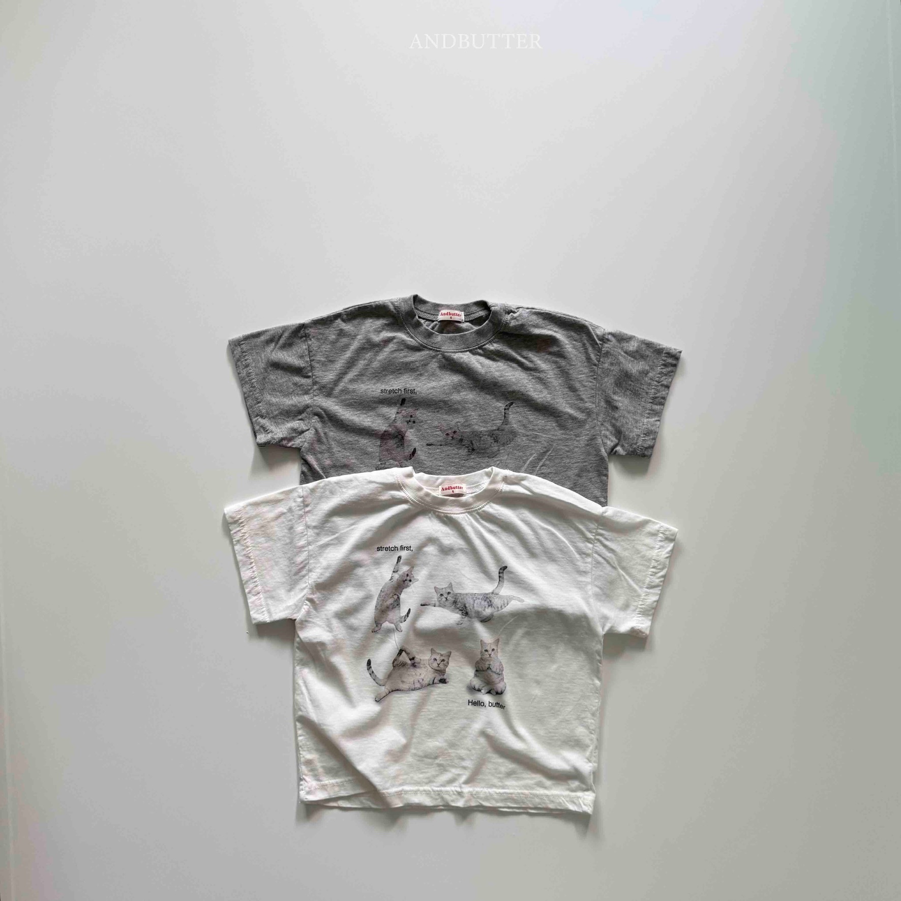 831E8B3F-B875-4653-A7BD-AD6288463BDE_1_102_o