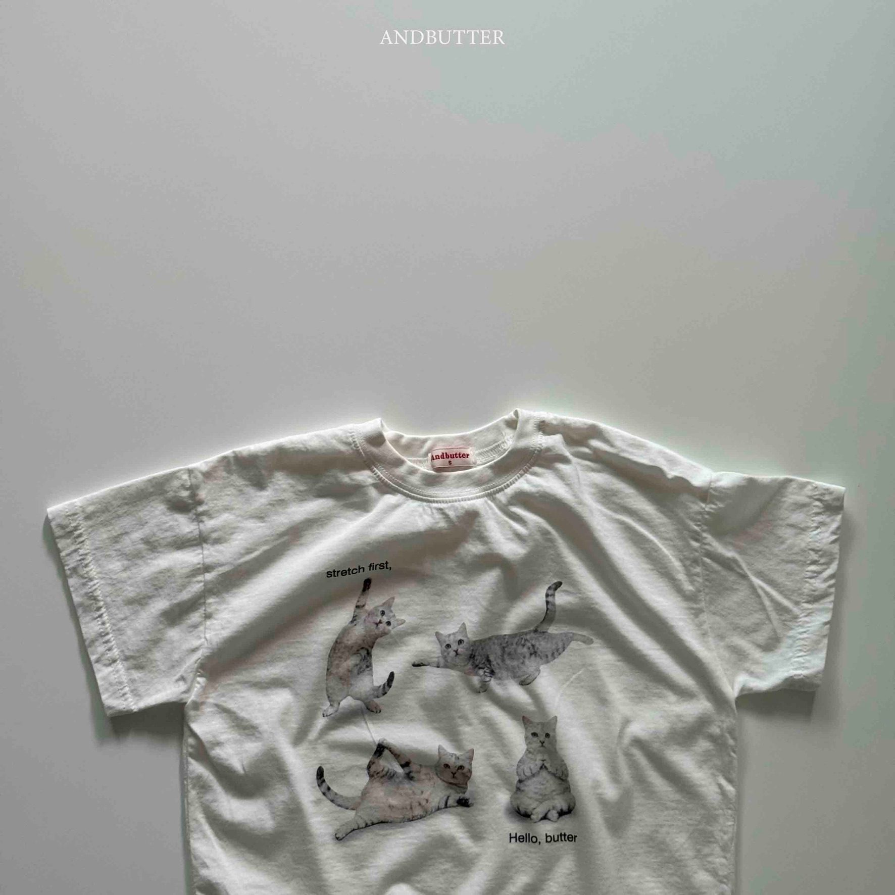 685A1590-700E-40A7-99F3-1FD86244B1A7_1_102_o