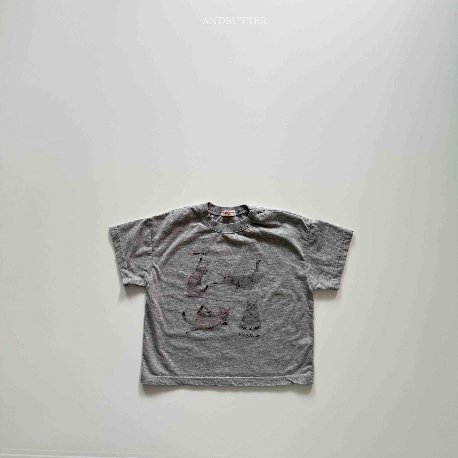 FE8ECEFA-76B9-4534-8EAF-72ACAB3C645D_1_102_o