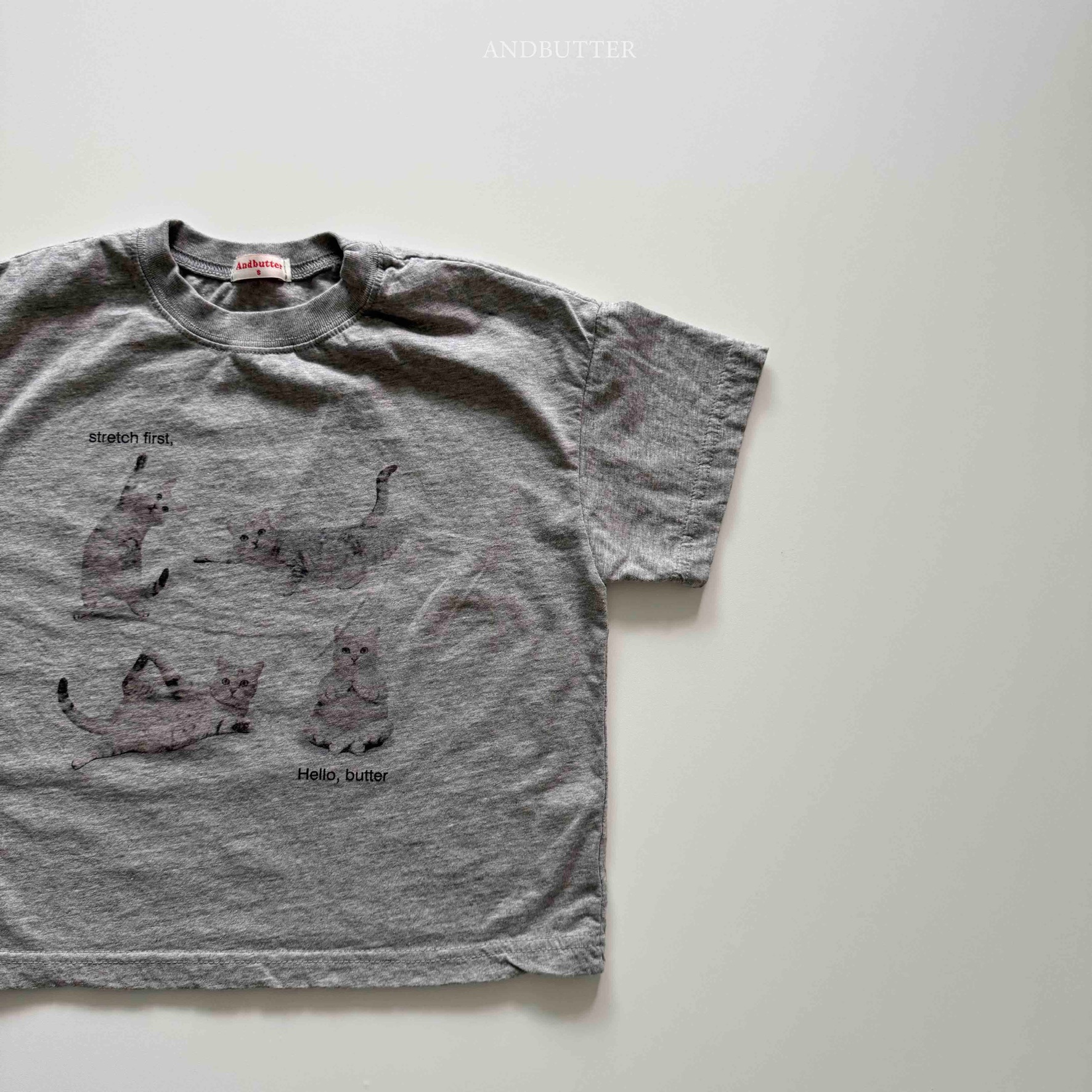 C2E2EECF-5FA2-4D4F-B98B-45E951C6E5AC_1_102_o