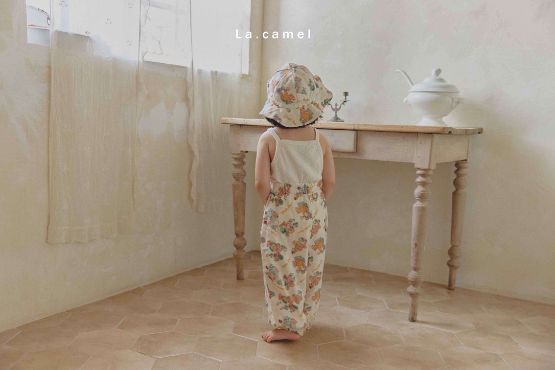 C3A46D85-05CC-4D2B-8E99-C88981FD1D86_1_105_c