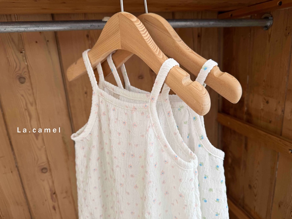 2E695C39-D304-48C8-BDCF-7A5CA023B808_1_105_c