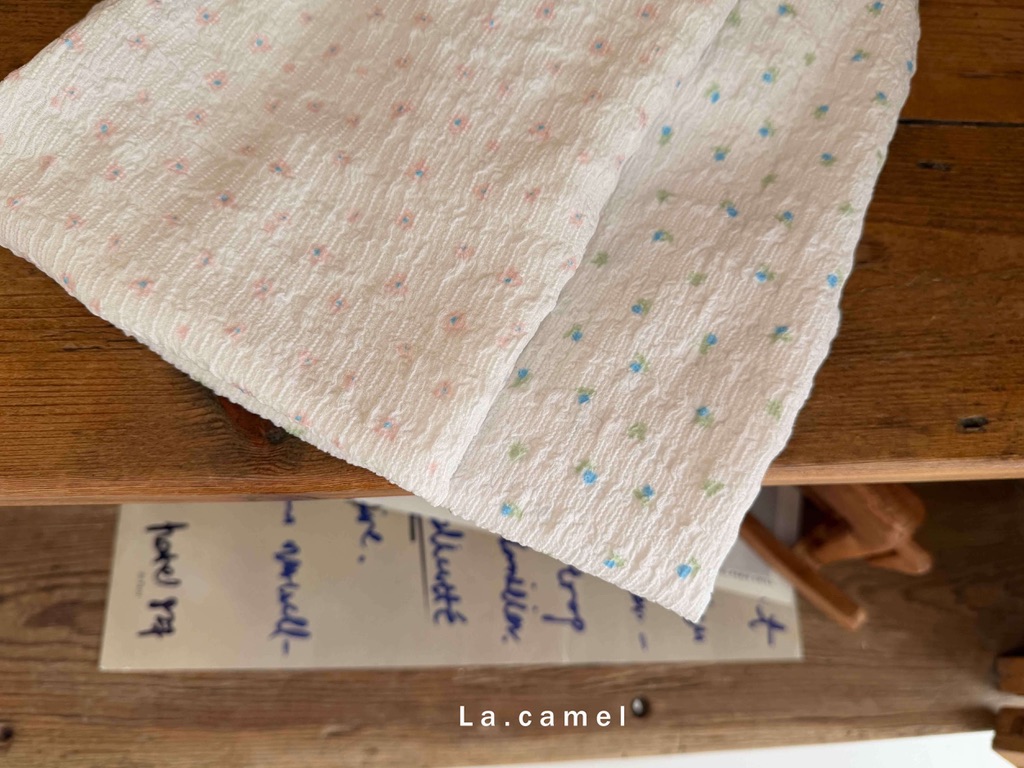 E8488F2F-FC90-4A0B-9F83-712602723E21_1_105_c