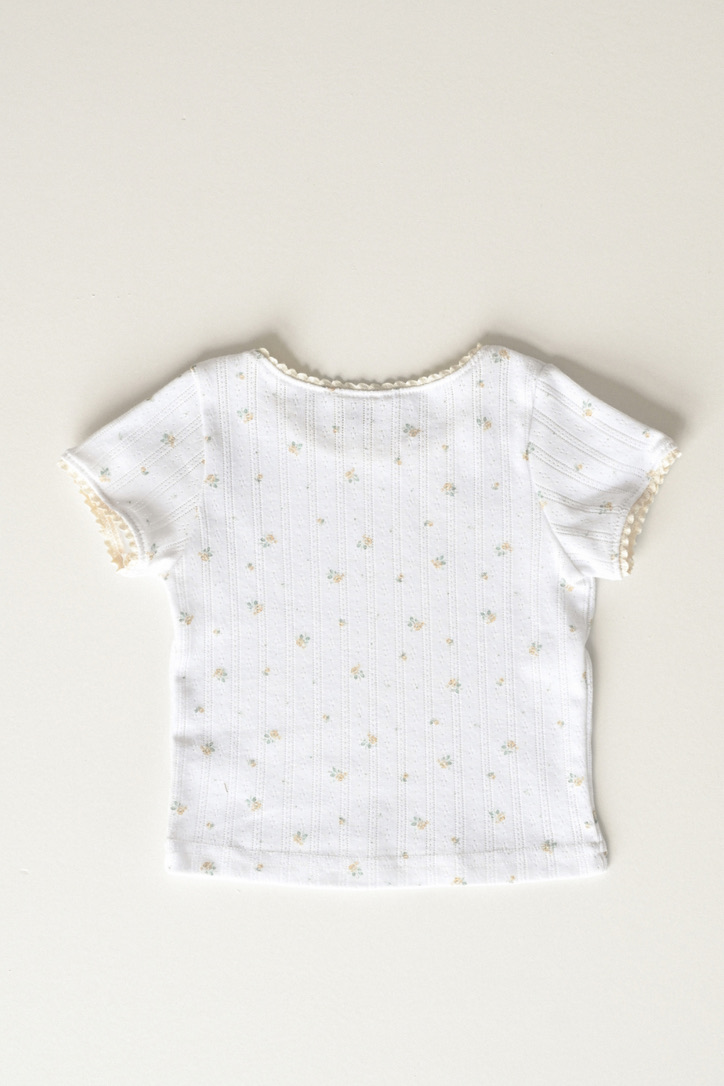 4277D5D6-61DC-469E-8AD5-F76D60FC728B_1_105_c