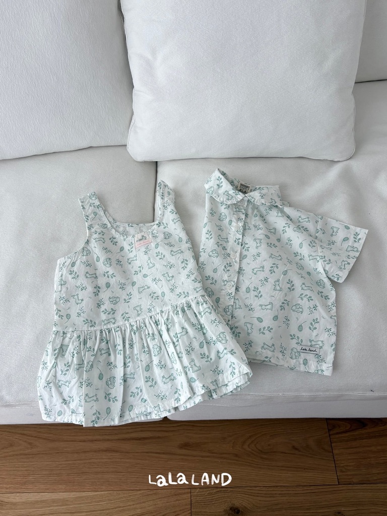 A5DB4324-61A3-41DA-BF49-A9B4B4EFD455_1_105_c