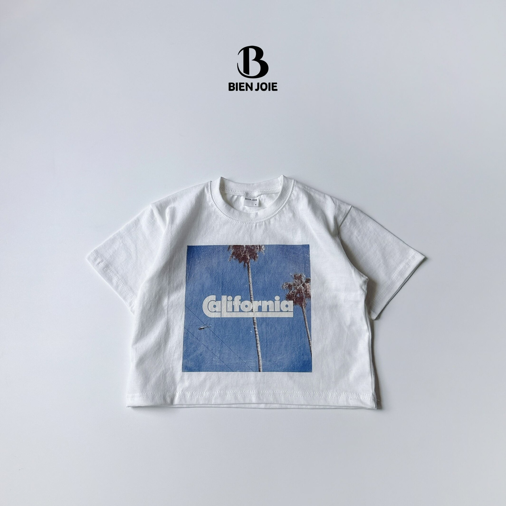 084E03F2-D6C9-4660-A803-242586787C42_1_102_o