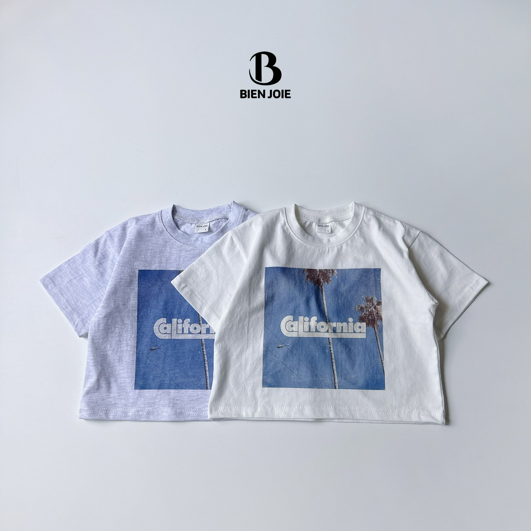 77A2E76F-4303-457A-894E-BECFFED56770_1_102_o