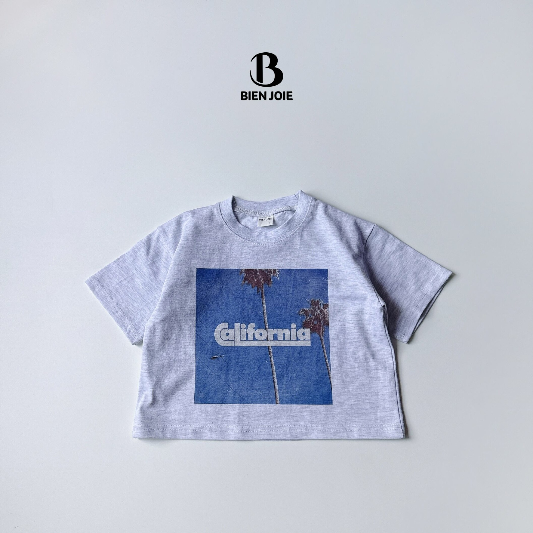 63DF49D9-F002-4A51-B22C-EB14F4B6E11C_1_102_o