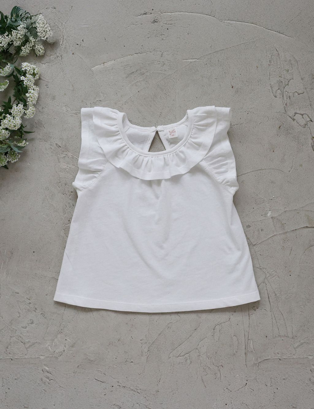 BFA563BE-F033-4E7B-8310-D3C209D704E6_1_105_c