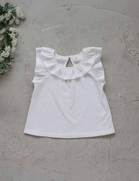 BFA563BE-F033-4E7B-8310-D3C209D704E6_1_105_c