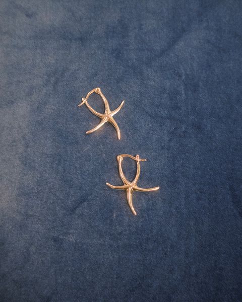 fxn 2025-06-19 171311.548 2