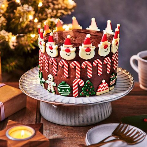Chocolate-christmas-cake-960x960-c-default