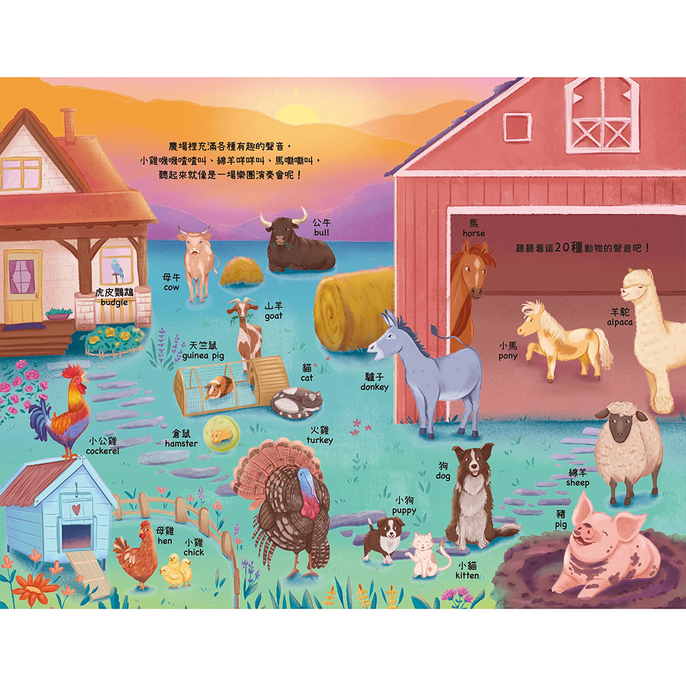 CLU5157-CLU5157-1-1000x1000_03