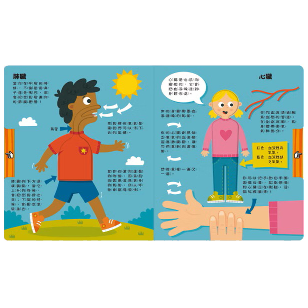 07-CLU5172-CLU5172-1-上架圖1000x1000_05