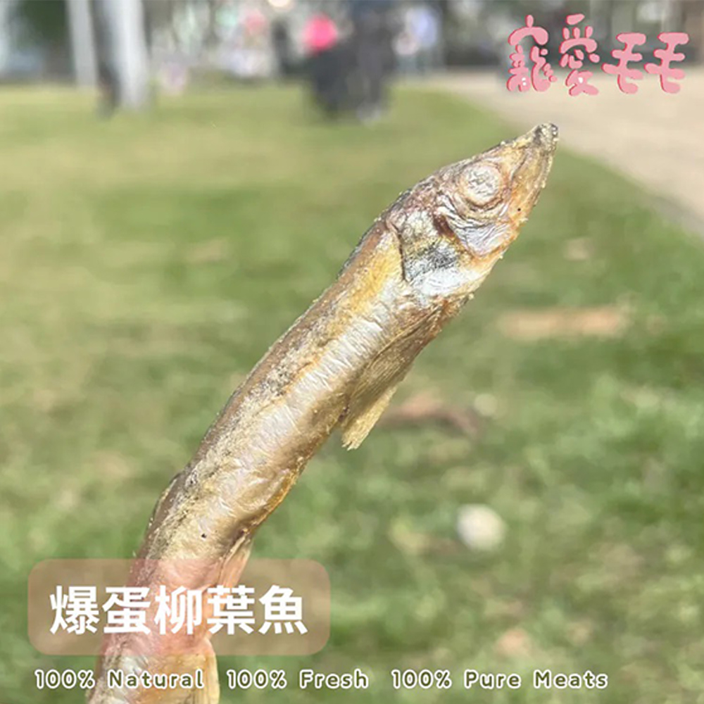 07-CLU7111-1000x1000_03
