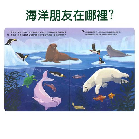 CLU5019-CLU5020-2-1000x1000-01