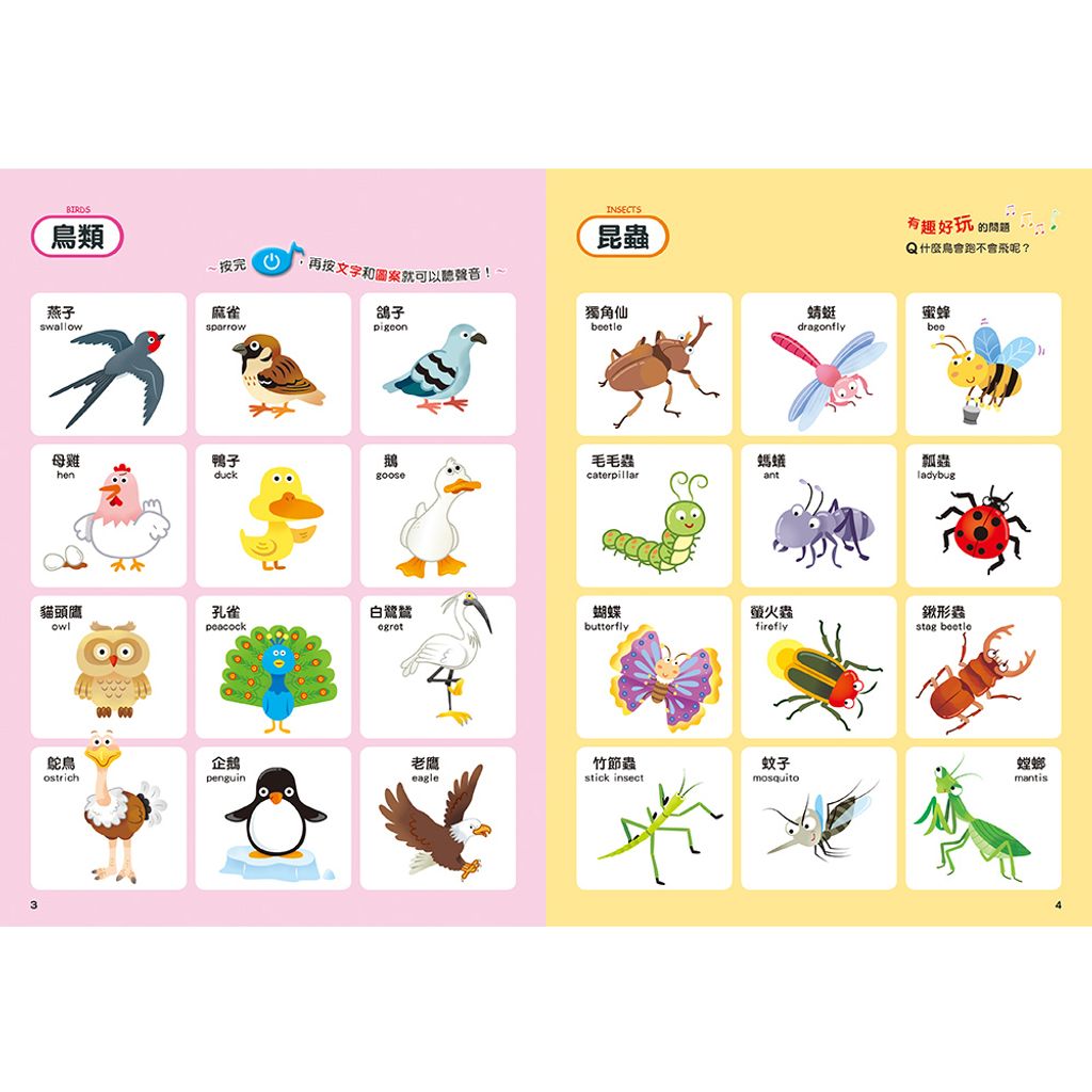 CLU6027-1000x1000-03