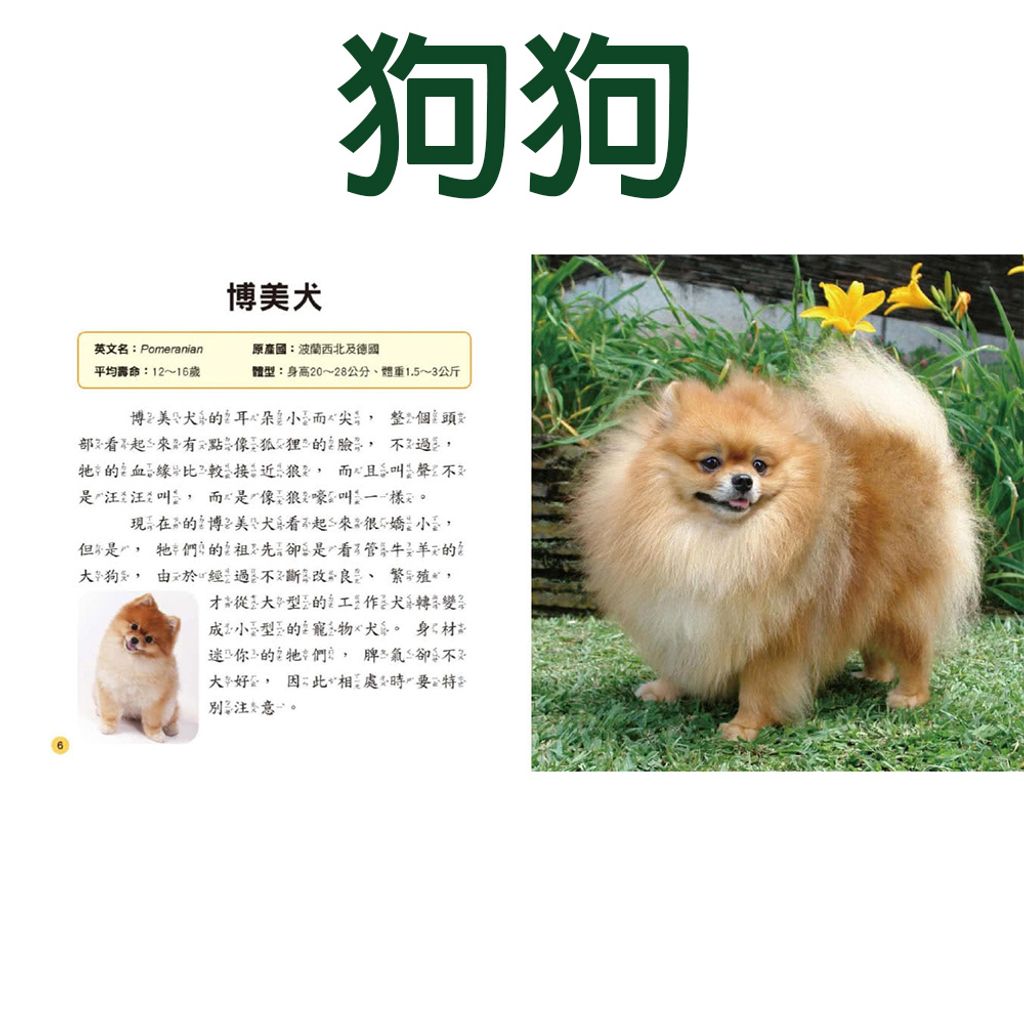 CLU6028-B-1000x1000-01