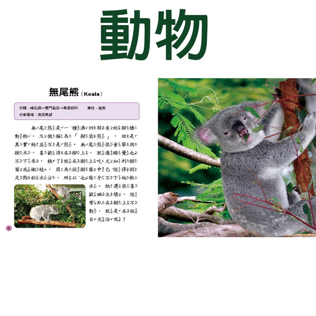 CLU6028-B-1000x1000-04