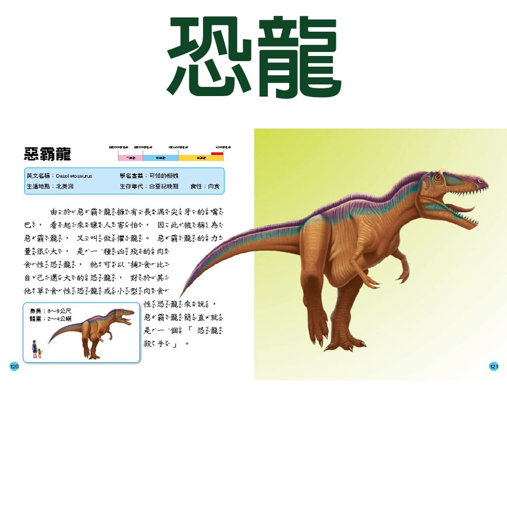 CLU6028-B-1000x1000-02