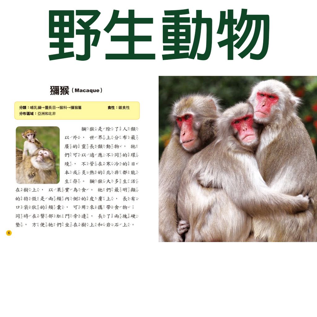 CLU6028-B-1000x1000-06