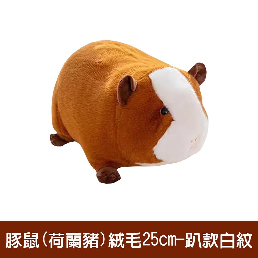 02-CLU4305-1000x1000