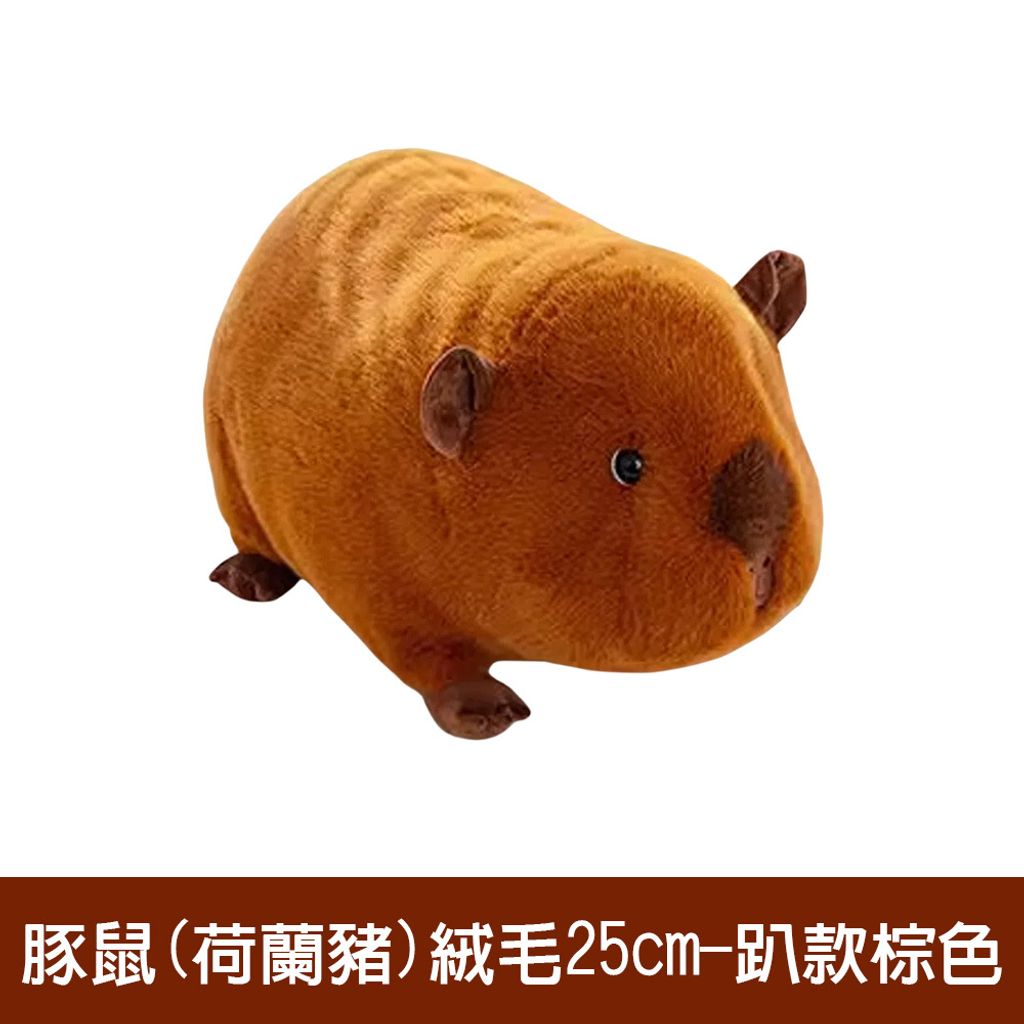 02-CLU4305-1-1000x1000