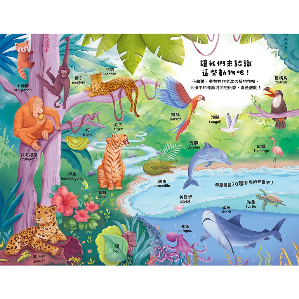 CLU5157-CLU5157-1-1000x1000_04