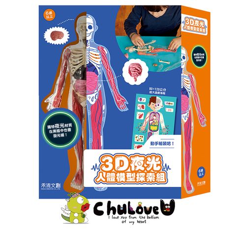 CLU5163-3D-夜光人體模型探索組主圖-官網800x800