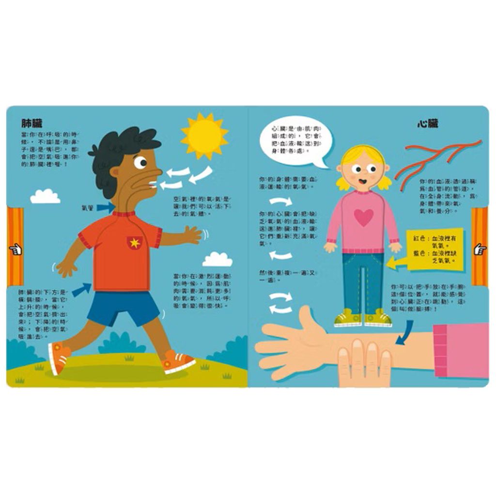 07-CLU5172-CLU5172-1-上架圖1000x1000_05