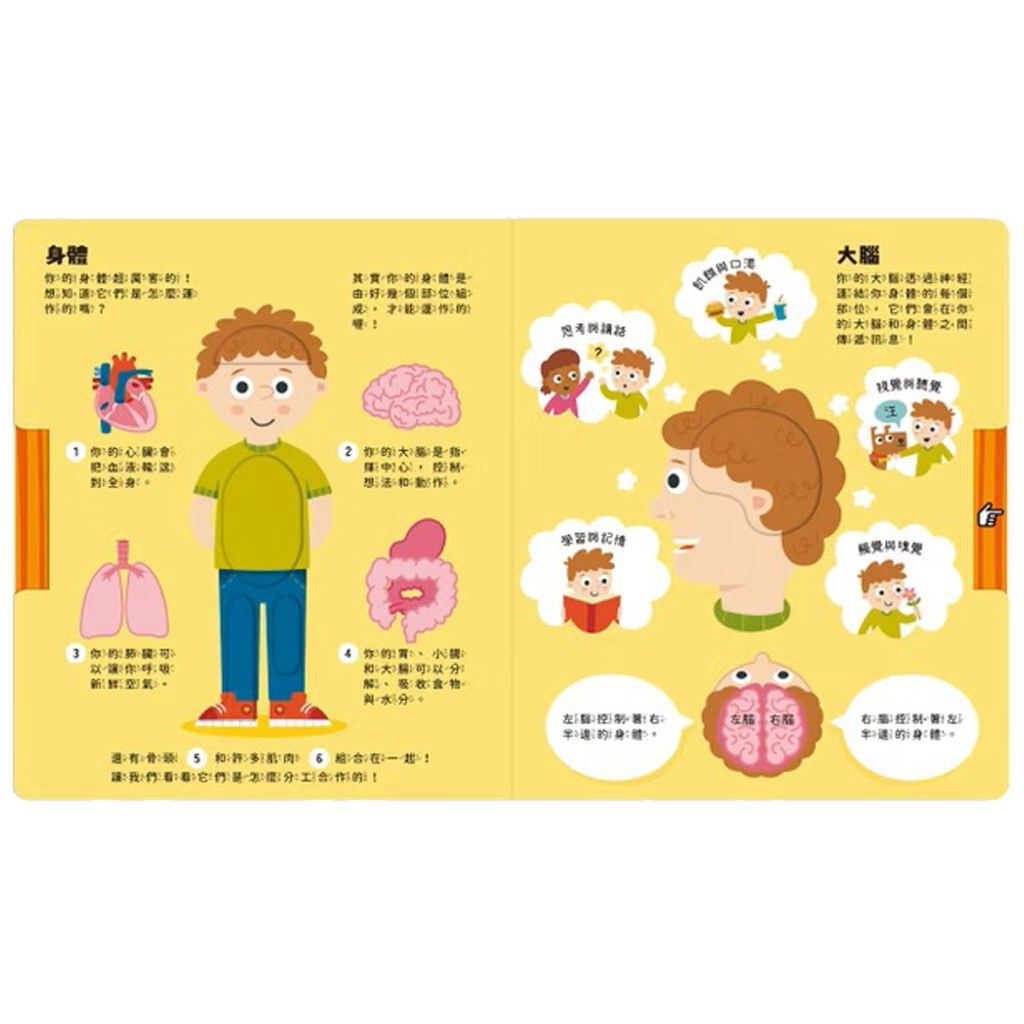 07-CLU5172-CLU5172-1-上架圖1000x1000_06